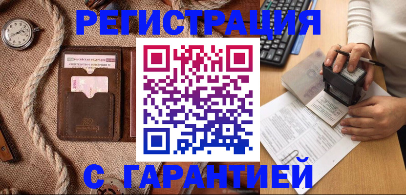 прописка гарантия в Палласовке